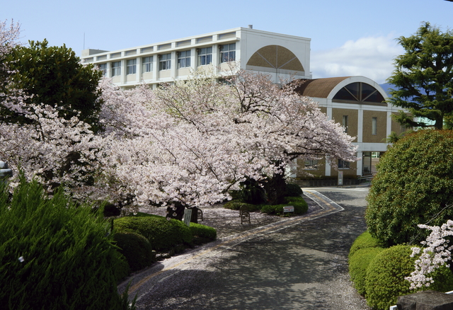 通信制高校の学校生活